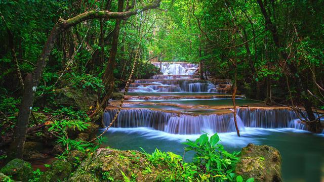 缤纷水果茶